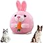 2026 Upgrade Active Moving Pet Plush Toy, Premium Interactive Squeaky Talking Moving Dog Ball Toy, Washable Cartoon Pig Plush Toy for Dogs Puppies to Keep Them Busy (#A3)
