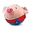 Active Moving Pet Plush Toy,2026 Upgrade Interactive Squeaky Talking Moving Dog Ball Toy, Washable Cartoon Pig Plush Toy for Dogs Puppies to Keep Them Busy. (#A6)