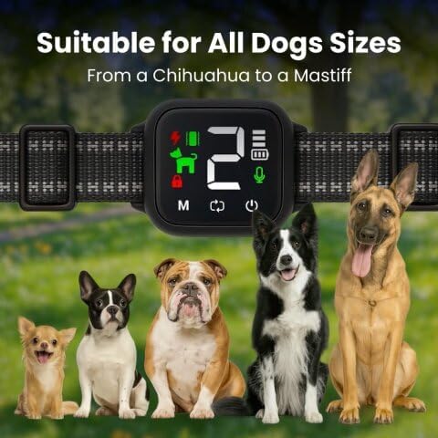 Anti-Bark Dog Collar, Smart Bark Control with 4 Modes, 8 Sensitivity Levels, Rechargeable for Dogs (Black)