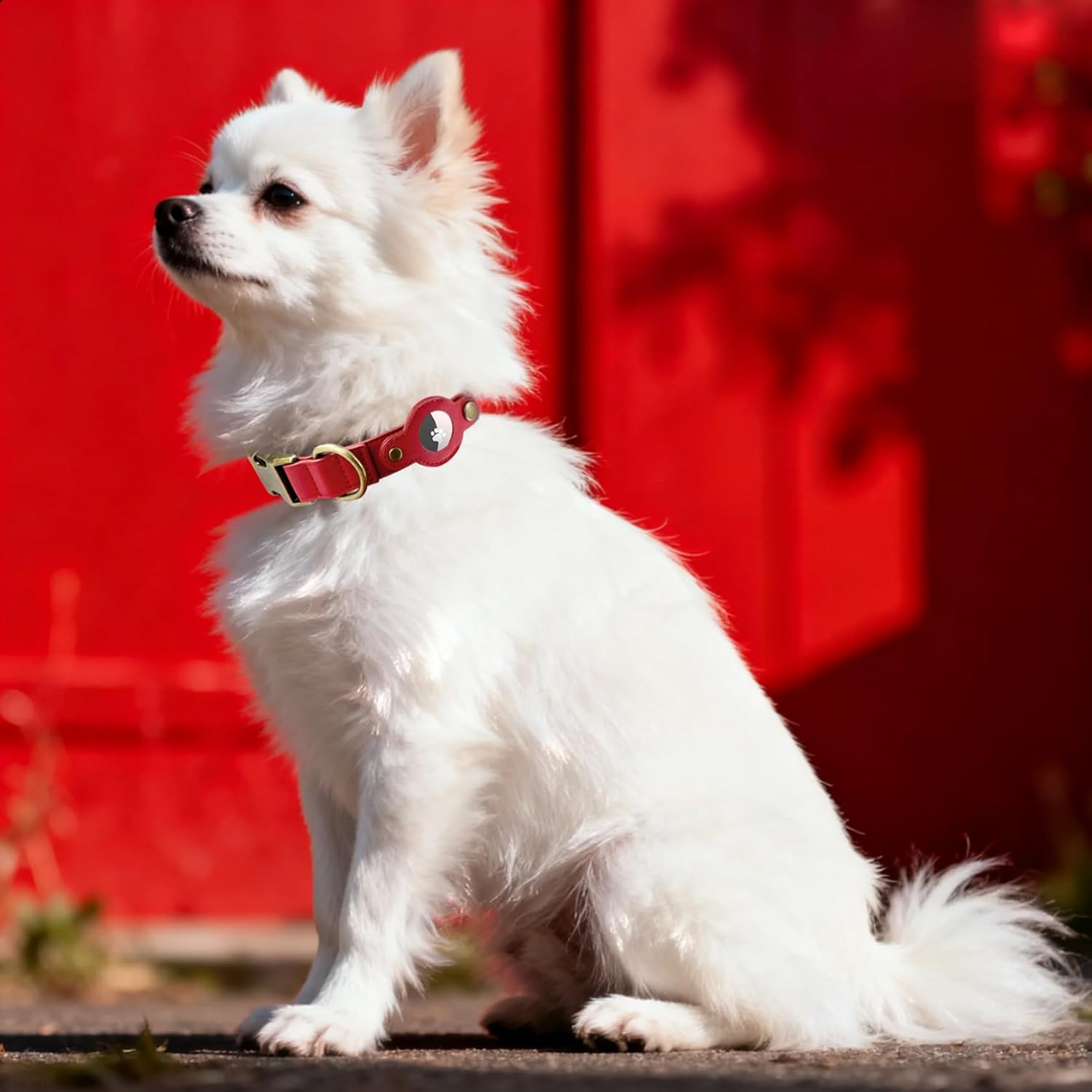 AirTag Dog Collar for Small Dogs Puppy - Soft Leather Dog Collar with Apple AirTag Holder and Metal Buckle - Smart Tracker GPS Apple Air Tag Pet Collars (Red, S)