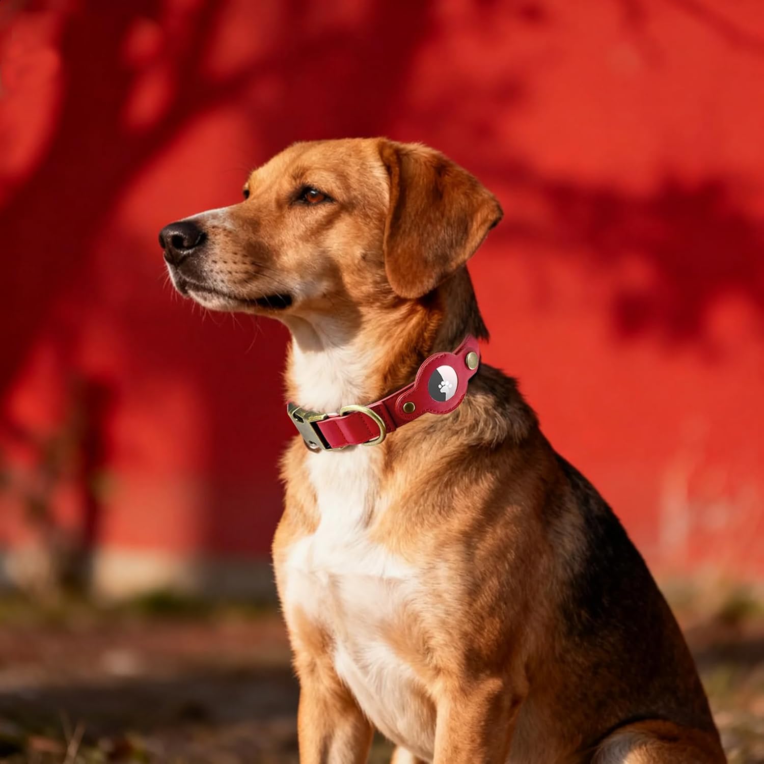 AirTag Dog Collar for Small Dogs Puppy - Soft Leather Dog Collar with Apple AirTag Holder and Metal Buckle - Smart Tracker GPS Apple Air Tag Pet Collars (Red, S)