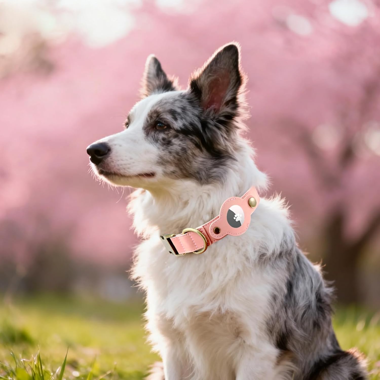 AirTag Dog Collar for Small Dogs Puppy - Soft Leather Dog Collar with Apple AirTag Holder and Metal Buckle - Smart Tracker GPS Apple Air Tag Pet Collars (Red, S)