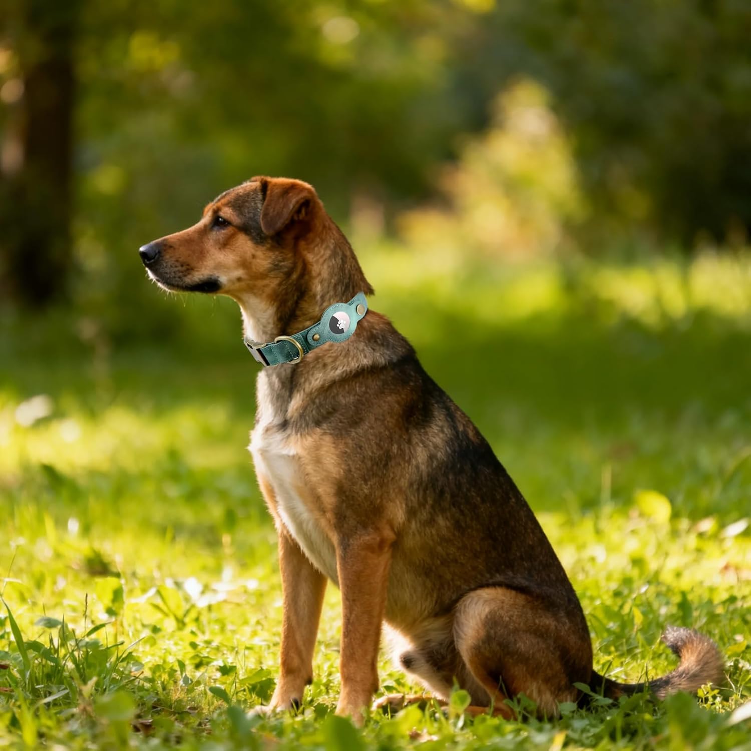 AirTag Dog Collar for Small Dogs Puppy - Soft Leather Dog Collar with Apple AirTag Holder and Metal Buckle - Smart Tracker GPS Apple Air Tag Pet Collars (Red, S)