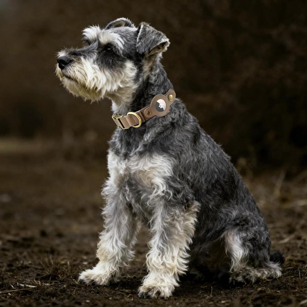 AirTag Dog Collar for Small Dogs Puppy - Soft Leather Dog Collar with Apple AirTag Holder and Metal Buckle - Smart Tracker GPS Apple Air Tag Pet Collars (Red, S)