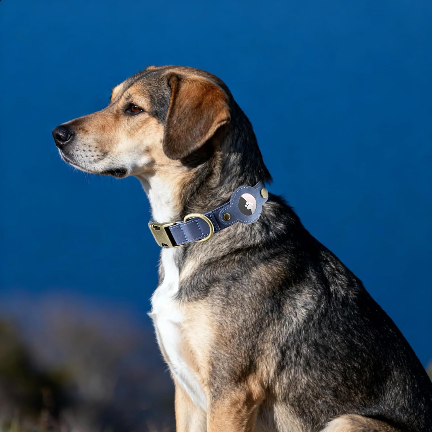 AirTag Dog Collar for Small Dogs Puppy - Soft Leather Dog Collar with Apple AirTag Holder and Metal Buckle - Smart Tracker GPS Apple Air Tag Pet Collars (Red, S)