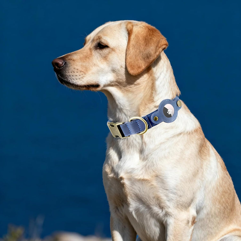 AirTag Dog Collar for Small Dogs Puppy - Soft Leather Dog Collar with Apple AirTag Holder and Metal Buckle - Smart Tracker GPS Apple Air Tag Pet Collars (Red, S)