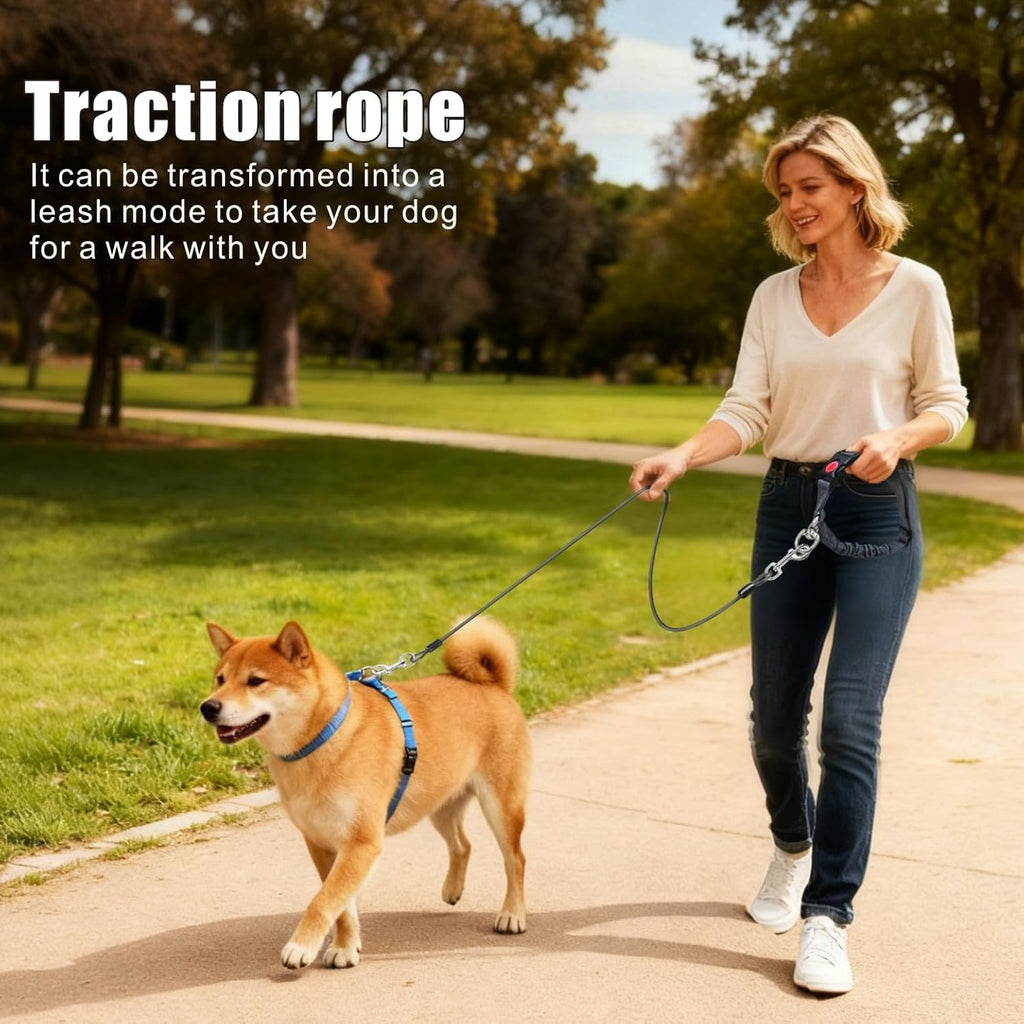 Dog Seat Belt for Car, 2 Pcs Stainless Steel Chew Proof Dog Seatbelt 3 in 1 Harness for Safety Heavy Duty Pet Seat Belt for Medium & Large Dogs (Black+Black)