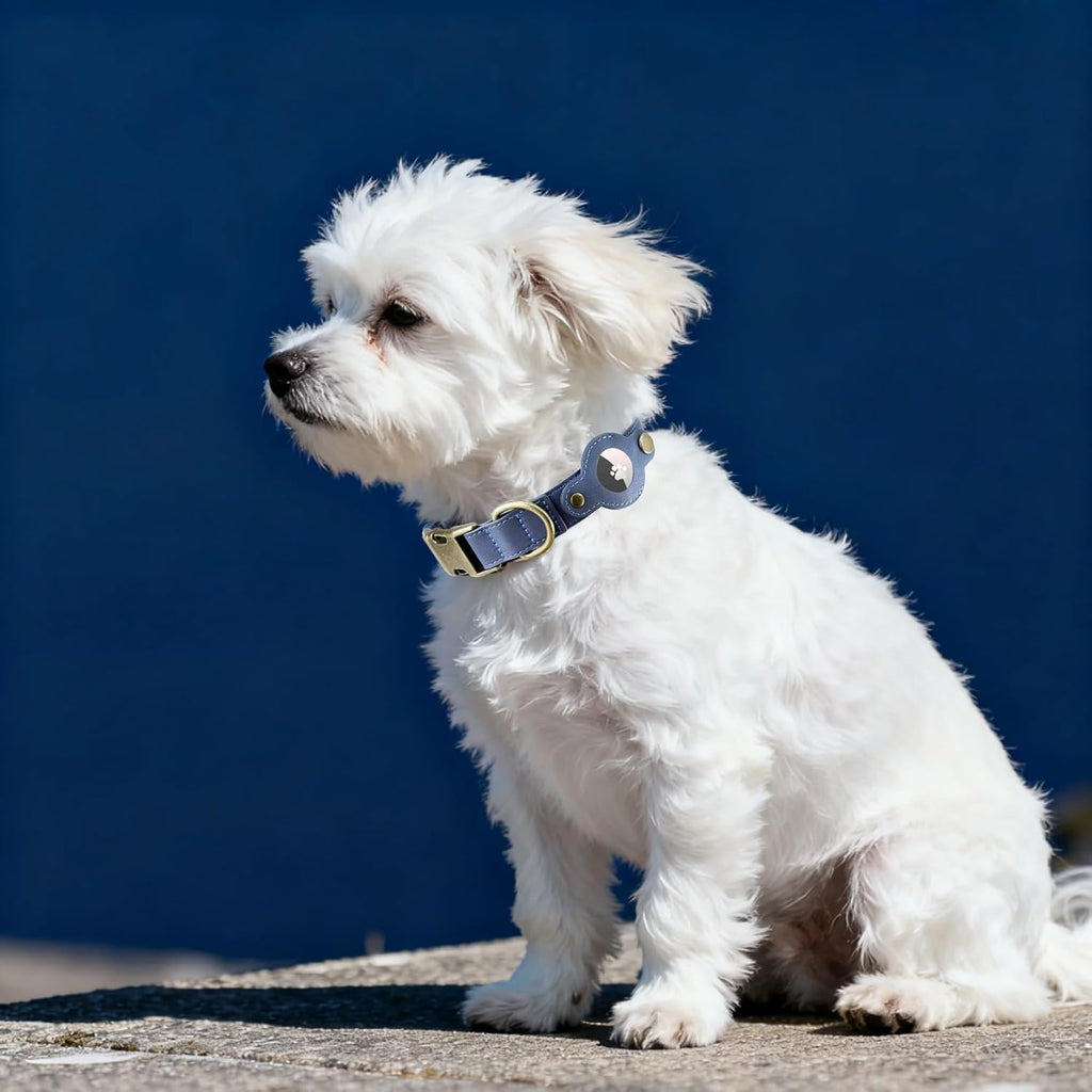 AirTag Dog Collar for Small Dogs Puppy - Soft Leather Dog Collar with Apple AirTag Holder and Metal Buckle - Smart Tracker GPS Apple Air Tag Pet Collars (Red, S)