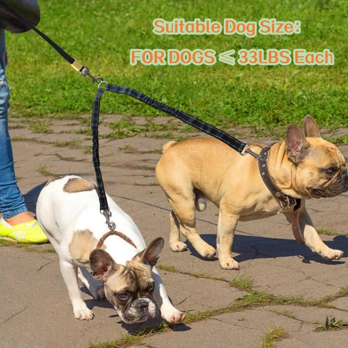 Double Dog Leash for Walking 2 Small Dogs (Up to 33 Lbs Each), Dual Retractable 9.8ft Extendable Strong Nylon Tape Pet Leash with Poop Bags, One-Handed Brake, Pause, Lock (Black)