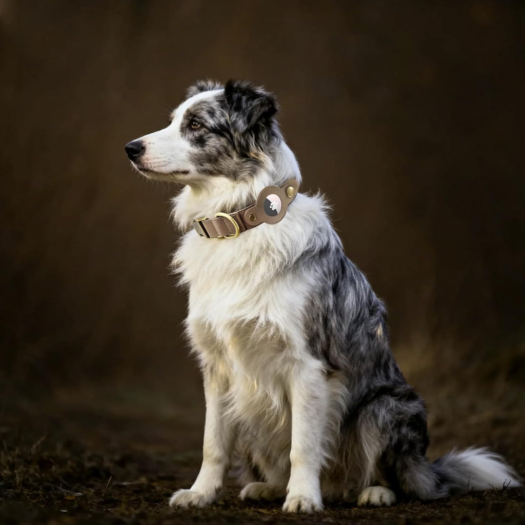 AirTag Dog Collar for Small Dogs Puppy - Soft Leather Dog Collar with Apple AirTag Holder and Metal Buckle - Smart Tracker GPS Apple Air Tag Pet Collars (Red, S)