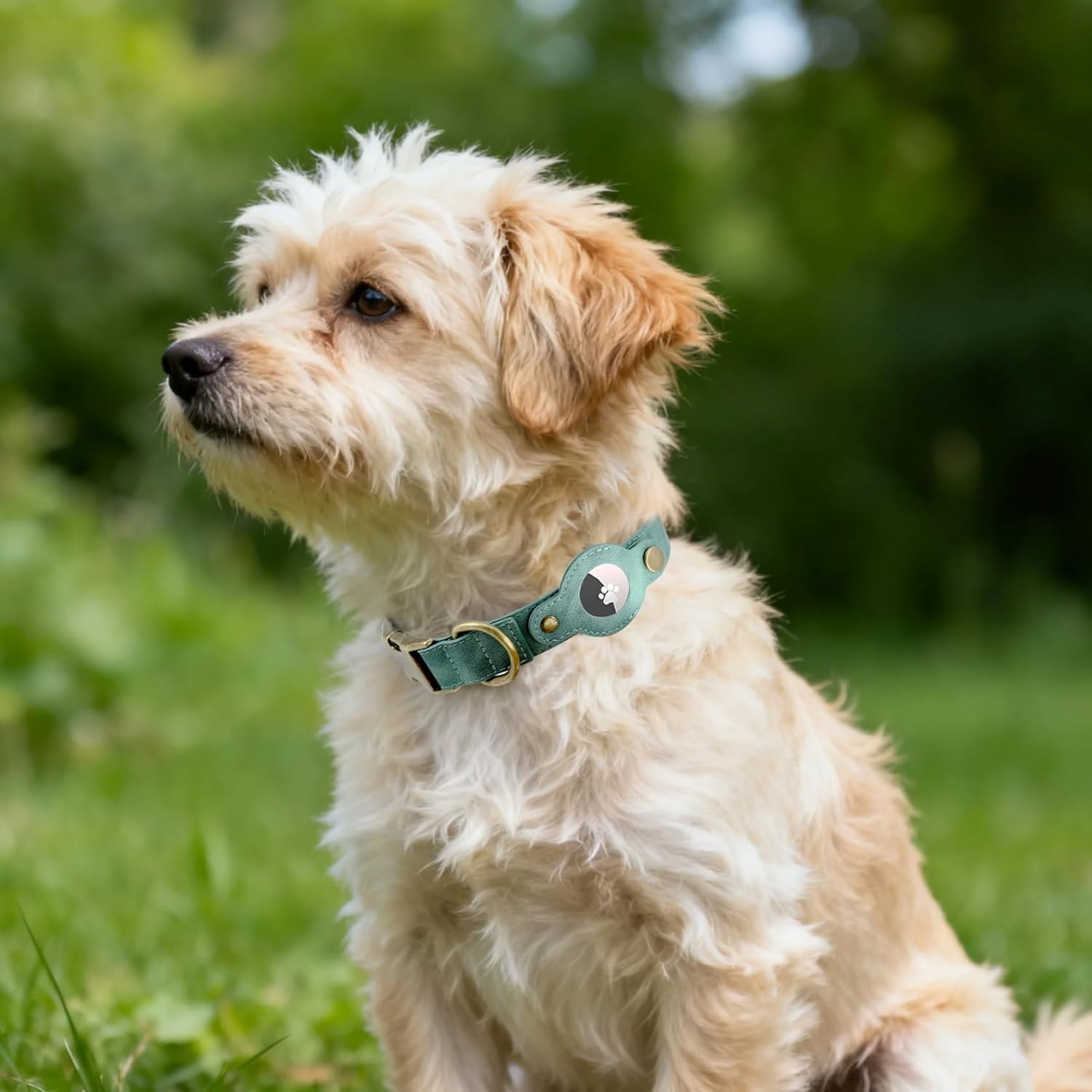 AirTag Dog Collar for Small Dogs Puppy - Soft Leather Dog Collar with Apple AirTag Holder and Metal Buckle - Smart Tracker GPS Apple Air Tag Pet Collars (Red, S)