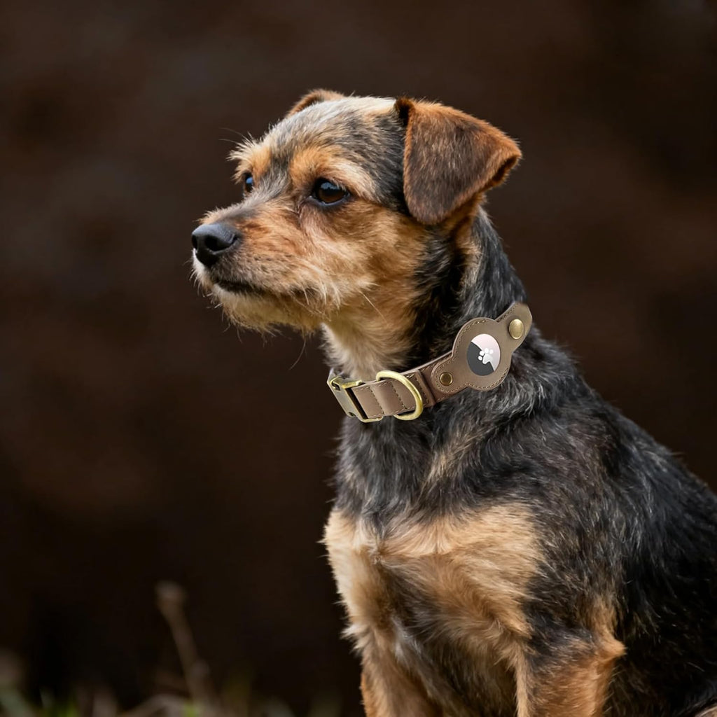 AirTag Dog Collar for Small Dogs Puppy - Soft Leather Dog Collar with Apple AirTag Holder and Metal Buckle - Smart Tracker GPS Apple Air Tag Pet Collars (Red, S)