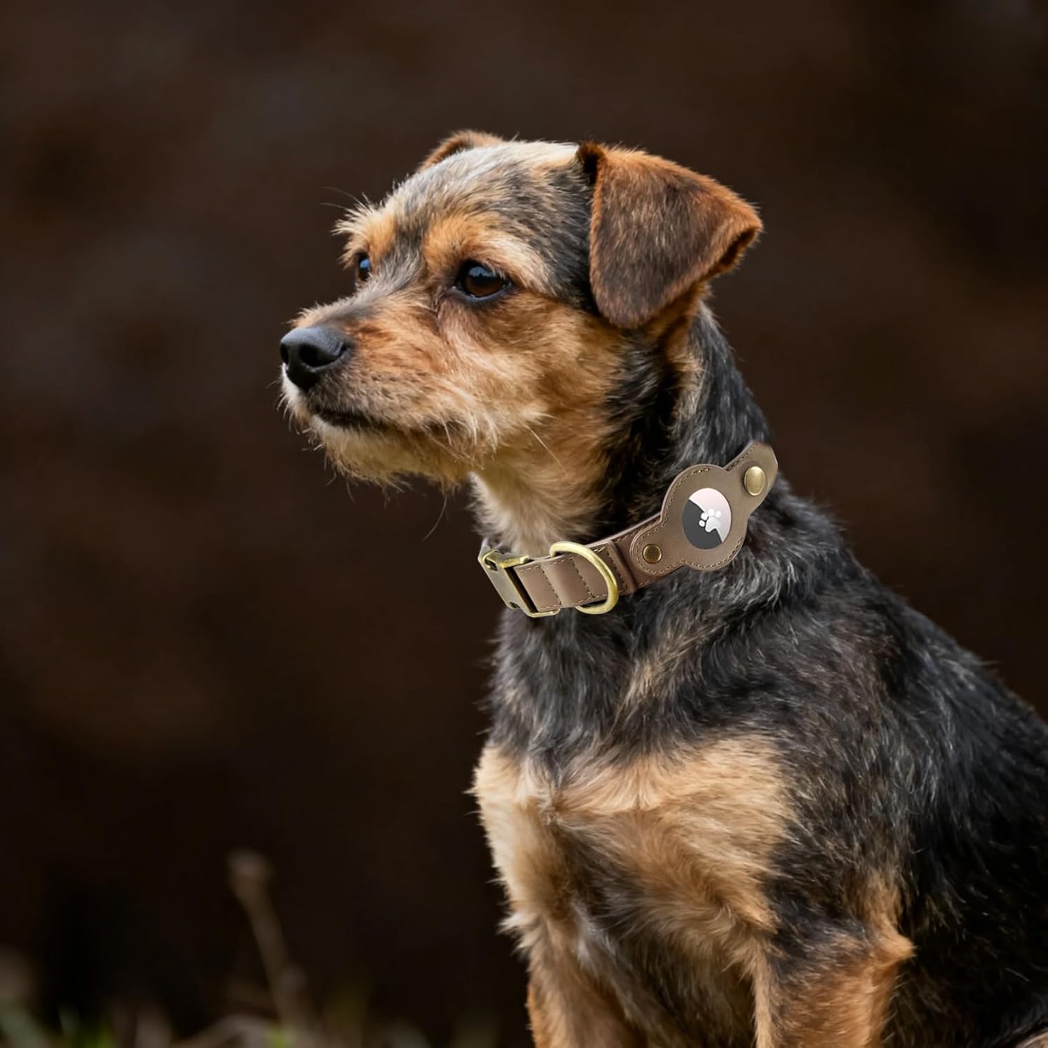 AirTag Dog Collar for Small Dogs Puppy - Soft Leather Dog Collar with Apple AirTag Holder and Metal Buckle - Smart Tracker GPS Apple Air Tag Pet Collars (Red, S)