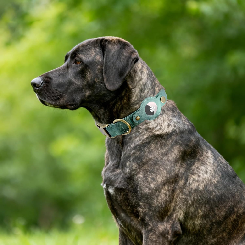 AirTag Dog Collar for Small Dogs Puppy - Soft Leather Dog Collar with Apple AirTag Holder and Metal Buckle - Smart Tracker GPS Apple Air Tag Pet Collars (Red, S)