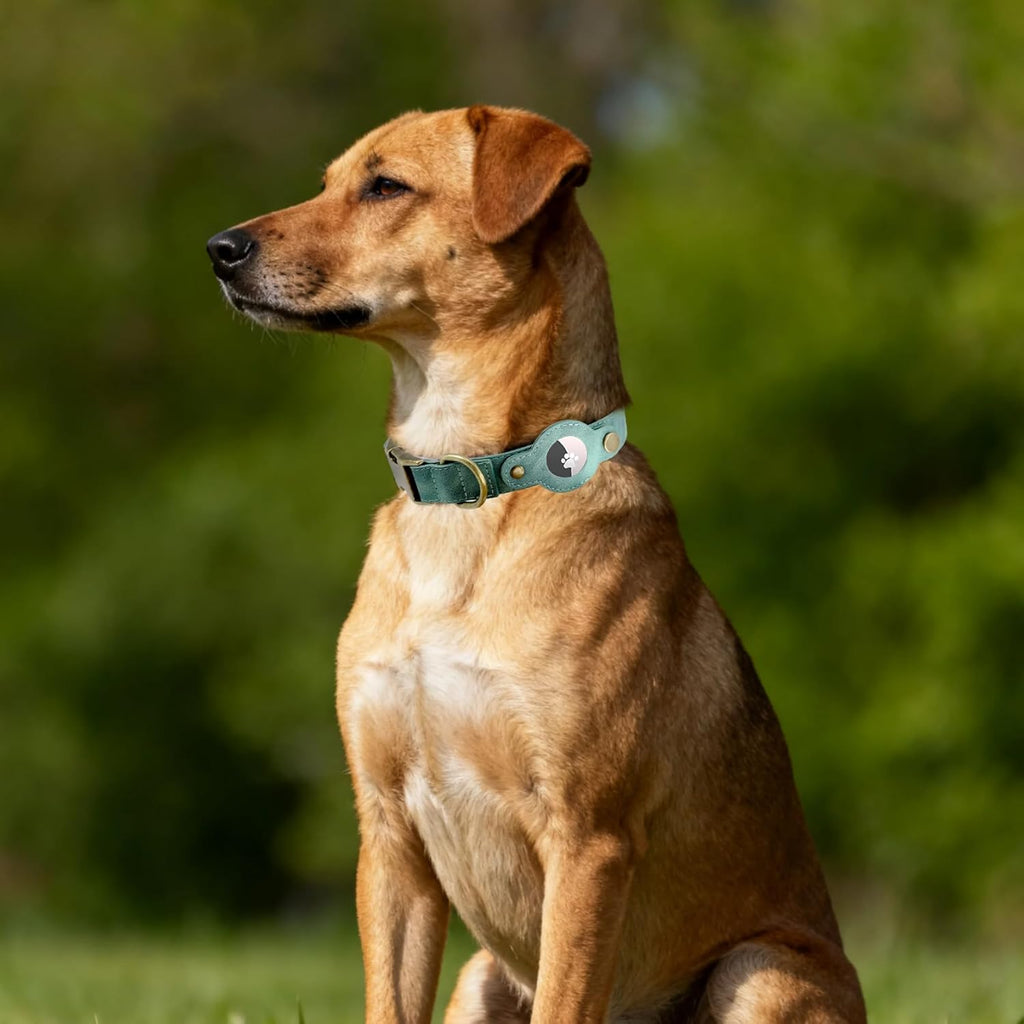 AirTag Dog Collar for Small Dogs Puppy - Soft Leather Dog Collar with Apple AirTag Holder and Metal Buckle - Smart Tracker GPS Apple Air Tag Pet Collars (Red, S)