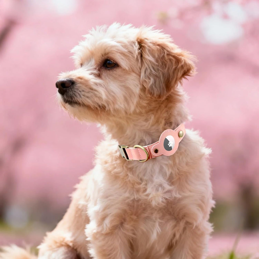 AirTag Dog Collar for Small Dogs Puppy - Soft Leather Dog Collar with Apple AirTag Holder and Metal Buckle - Smart Tracker GPS Apple Air Tag Pet Collars (Red, S)