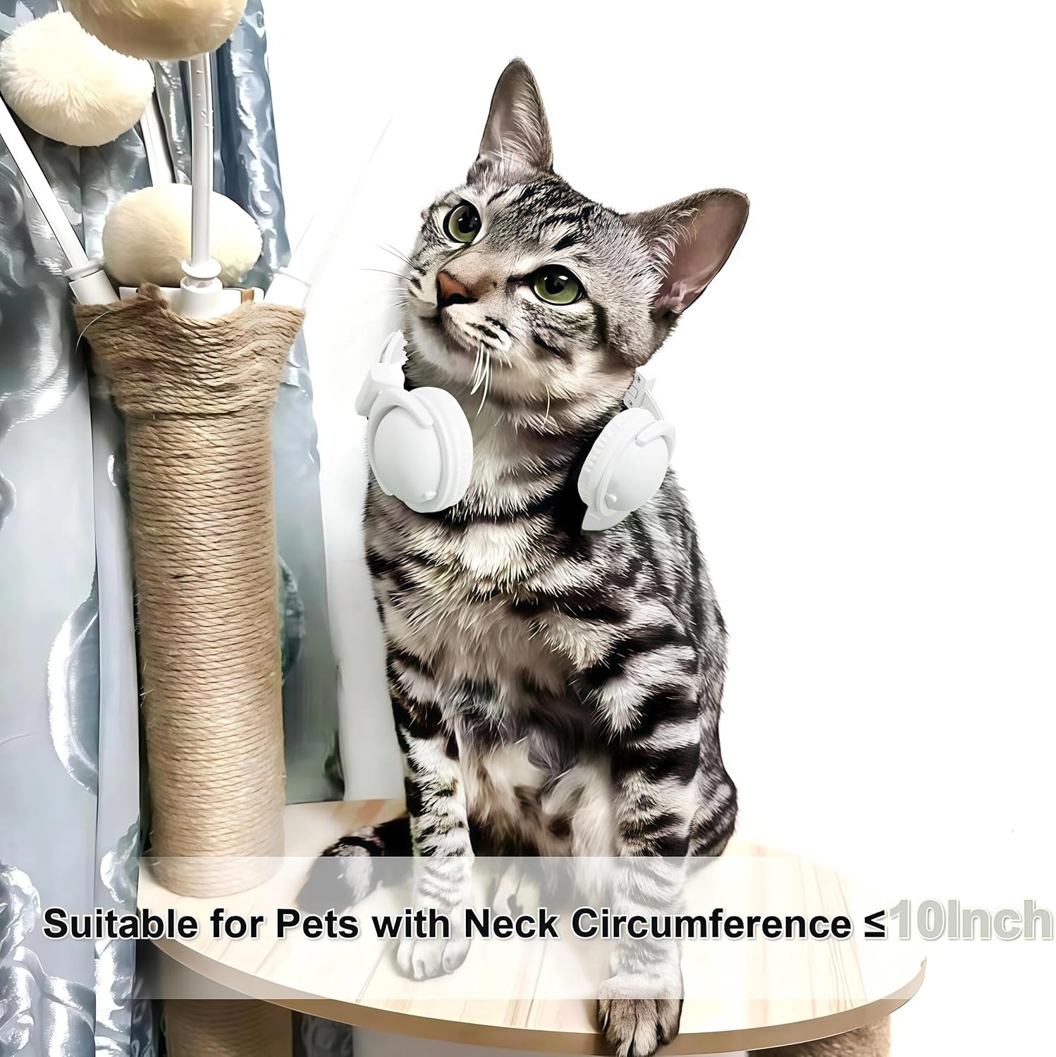 Pet Headphones for Small Dogs & Cats-Adjustable Headband Costume Accessories for Stuffed Animals Dress Up-Cute Party Favors, Cosplay Props, Photo Shoot Supplies-Black&Pink